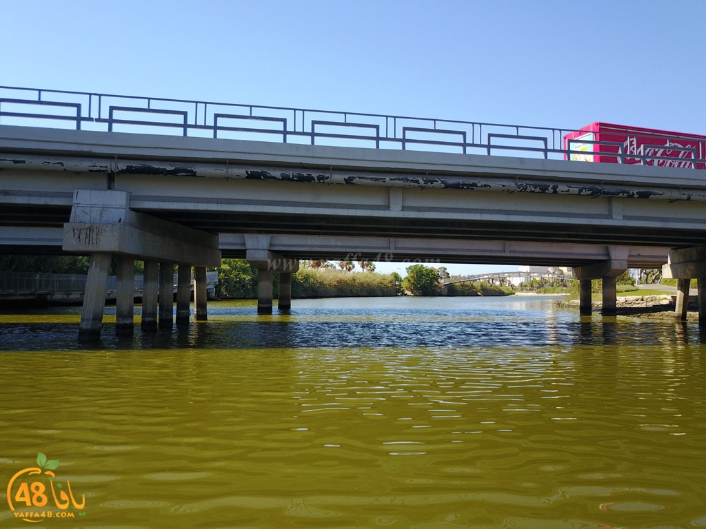 al3oja nahre (23).JPG